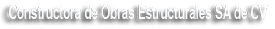 coesa sistemas